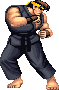 Ryu sprite